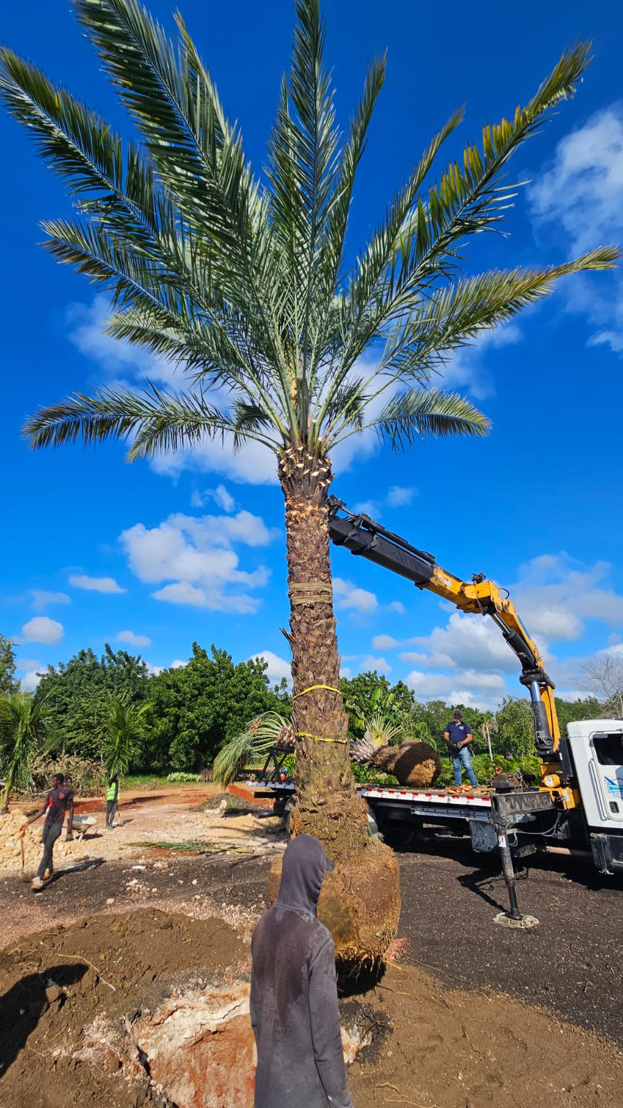 WhatsApp Image 2025-11-05 at 18.24.10_5f63e122